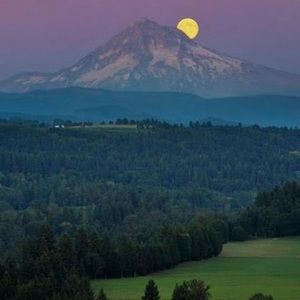 Meet your Posher, Jerusalem